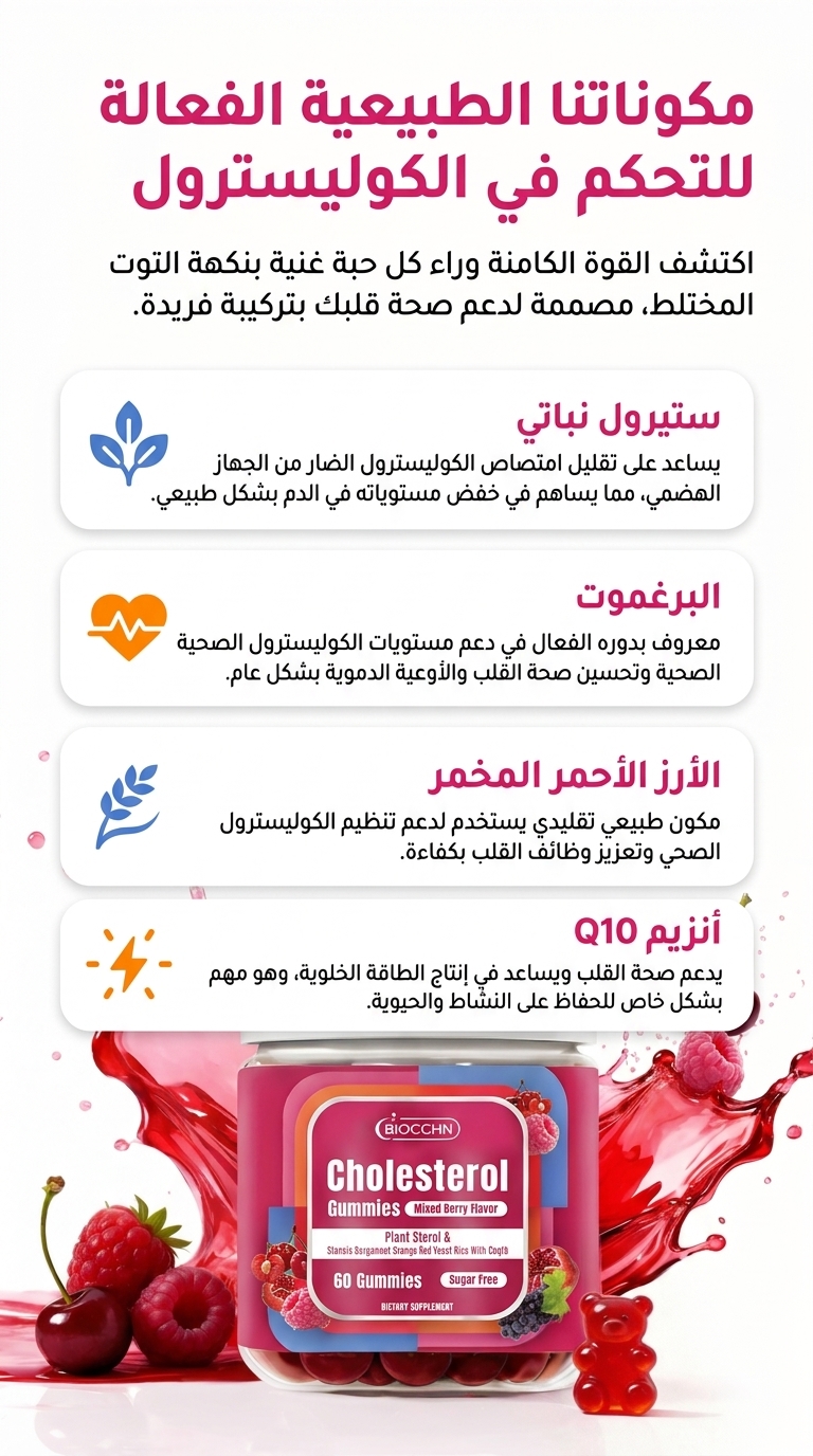 Landing page section 2